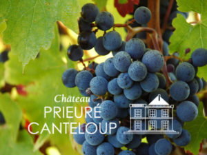 Read more about the article <h3>Château Prieuré Canteloup </h3></br>Boutique en ligne